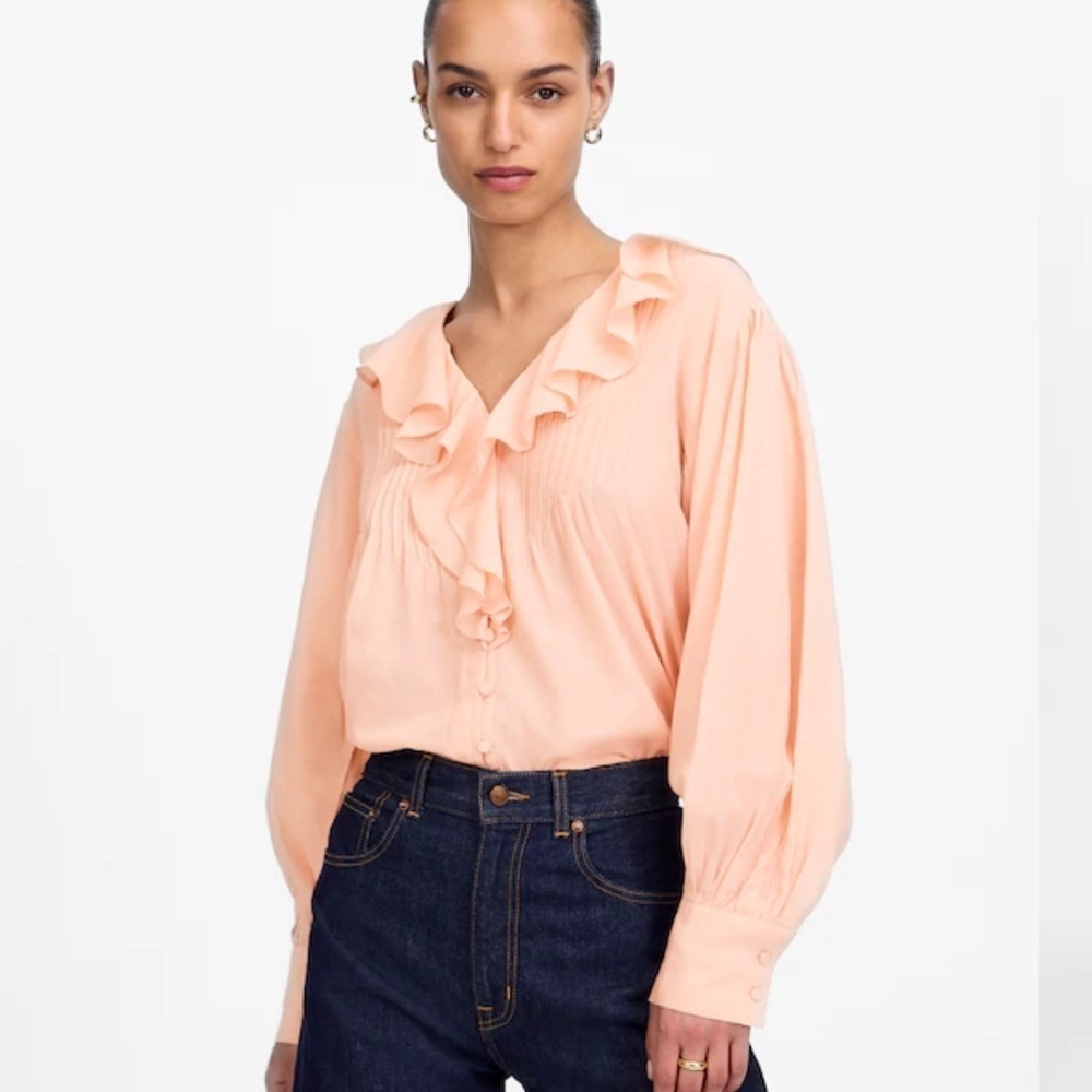 Madewell pale blush Ruffled Pintucked Long-Sleeve Top
